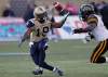 John Woods / THE CANADIAN PRESS
FILE - Winnipeg Blue Bombers' Chris Garrett bobbles a pass as Hamilton Tiger-Cats' Renauld Willams moves in during the first half of their pre-season CFL game in Winnipeg Wednesday, June 20, 2012.
