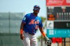 New York Mets third baseman Adeiny Hechavarria (25) smiles during the first inning against the Miami Marlins during a spring training baseball game, Tuesday, March 12, 2019, in Jupiter, Fla. (David Santiago/Miami Herald via AP)