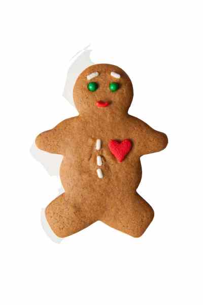 Gordon M. Grant / Newsday / MCT archives
The holidays bring out the baker in many as traditional holiday cookies, such as these classic mini-gingerbread men cookies with decorations, are made for parties and gifts.