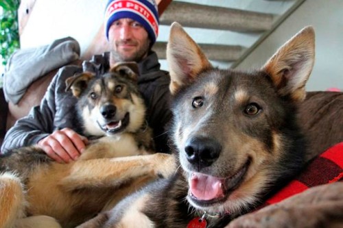 This Wednesday, March 20, 2019, photo shows Iditarod musher Nicolas Petit posing with two of his dogs in Anchorage, Alaska. The Frenchman Petit was in the lead of this year's race but his dog team quit running after he yelled at Joey, right, to stop picking on Danny, left. Petit says that isn't the reason the dogs quit running; instead, they quit about the same point the team got lost in a blizzard in the 2018 race. (AP Photo/Mark Thiessen)