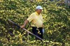 Jack Nicklaus makes his way along the eighth hole during the par-three contest before the Masters golf tournament, Wednesday, April 10, 2013, in Augusta, Ga. (AP Photo/Atlanta Journal-Constitution, Curtis Compton) MARIETTA DAILY OUT; GWINNETT DAILY POST OUT; LOCAL TV OUT; WXIA-TV OUT; WGCL-TV OUT