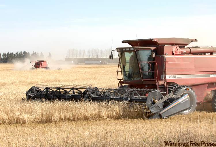 CNS Regina Leader-Post
Prairie farmers could be allowed to sell their wheat and barley on the open market by January.