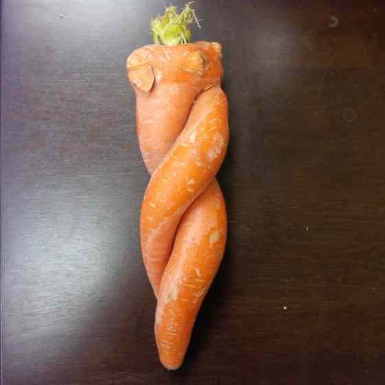 SUBMITTED PHOTOMany won't embrace a defective carrot.