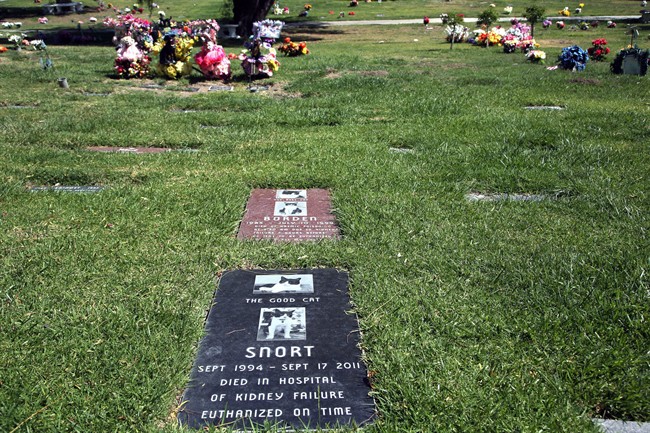 This photo taken on May 12, 2014, shows beloved family pets memorialized with a headstone at the Los Angeles Pet Cemetery in Calabasas, Calif. Saying goodbye to a beloved dog or cat is hard. Despite many options, an estimated 70 percent of owners will leave the body with their veterinarian to dispose of. (AP Photo/Nick Ut)