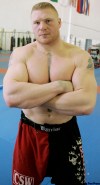 Jim Mone / Associated Press archives
Brock Lesnar