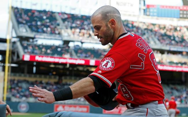 Los Angeles Angels' Tommy La Stella is congratulated in the dugout after scoring on a Mike Trout single off Minnesota Twins pitcher Jose Berrios in the first inning of a baseball game Monday, May 13, 2019, in Minneapolis. (AP Photo/Jim Mone)
