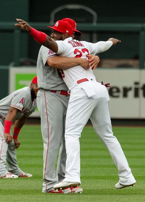 Los Angeles Angels' Albert Pujols, left, picks up St. Louis Cardinals' Marcell Ozuna, right, as they talk on the field before the start of a baseball game Friday, June 21, 2019, in St. Louis. (AP Photo/L.G. Patterson)