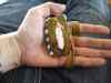 SUPPLIED
Mathias Colomb Chief Arlen Dumas (left) holds a sacred medicine pouch he wore around his neck at the airport.