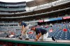 Workers adjust new netting that separates the infield from lower bowl seating before a postponed baseball game between the Colorado Rockies and the Washington Nationals, Monday, July 22, 2019, in Washington. (AP Photo/Patrick Semansky)