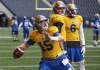 MIKE DEAL / WINNIPEG FREE PRESS
Winnipeg Blue Bombers quarterbacks Drew Willy and Dominique Davis (right) watch new starting QB Matt Nichols throw the ball Sunday during practice at Investors Group Field.