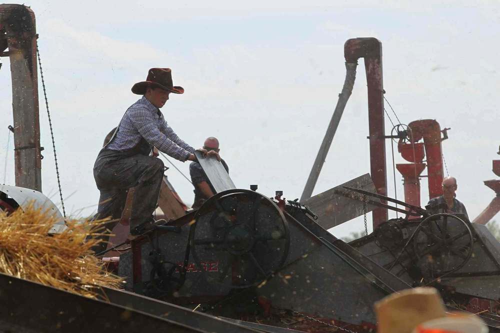 JOHN WOODS / WINNIPEG FREE PRESS About 150 antique threshing machines at the Manitoba Agricultural Museumand the Canadian Foodgrains Bank attempt to break a Guinness World Record for the most antique threshing machine to harvest a field in 16 minutes Sunday, July 31, 2016.