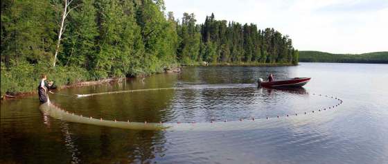 Wayne Glowacki / Winnipeg Free Press filesResearchers use a seine net to catch fish on Lake No. 239, part of the Experimental Lakes Area in northwestern Ontario. Ottawa discontinued funding for the ELA in 2013.