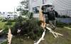 WAYNE GLOWACKI / WINNIPEG FREE PRESS Adam Mack by the stump of a spruce tree in front of his duplex in the 1900 block on Corydon Ave. Friday morning after the tree was hit by lightning.