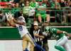 Mark Taylor
/ The Canadian Press
Winnipeg Blue Bombers wide receiver wide receiver Gerrard Sheppard attempts a grab during first half CFL action against the Saskatchewan Roughriders in Regina on Sunday, September 4, 2016.