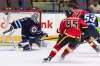 CLINT TRAHAN / WINNIPEG FREE PRESS
Goaltender Jamie Phillips shared duties with fellow prospect Mikhail Berdin on what proved to be a busy night for netminders. Phillips was solid, turning away 21 of 22 shots Friday.