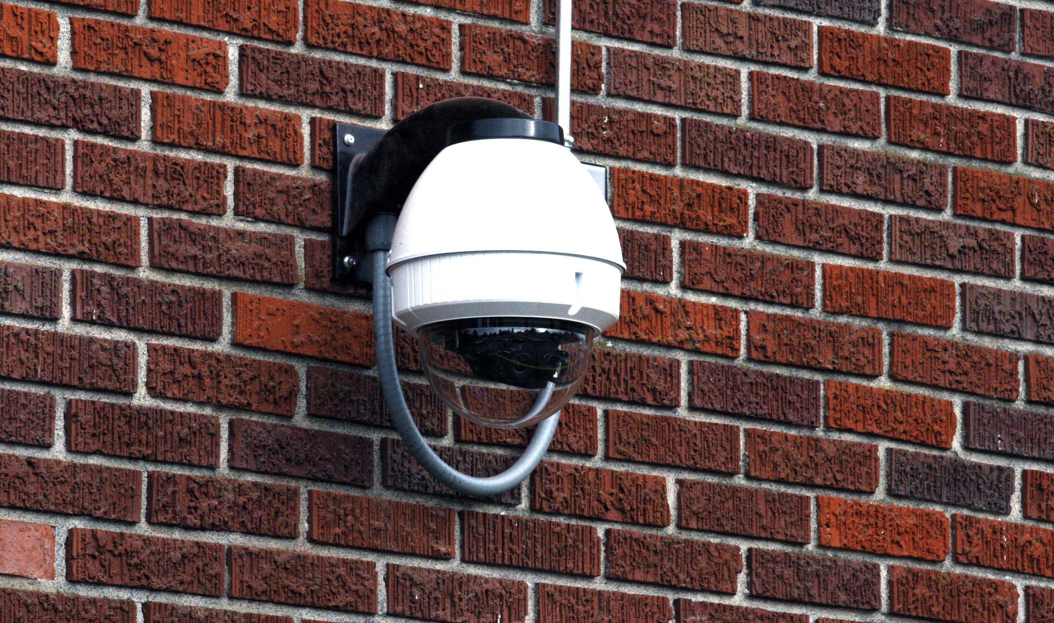 Hidden cameras OK in division Winnipeg Free Press