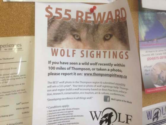 BILL REDEKOP / WINNIPEG FREE PRESSA poster advertising the photo contest in Thompson.