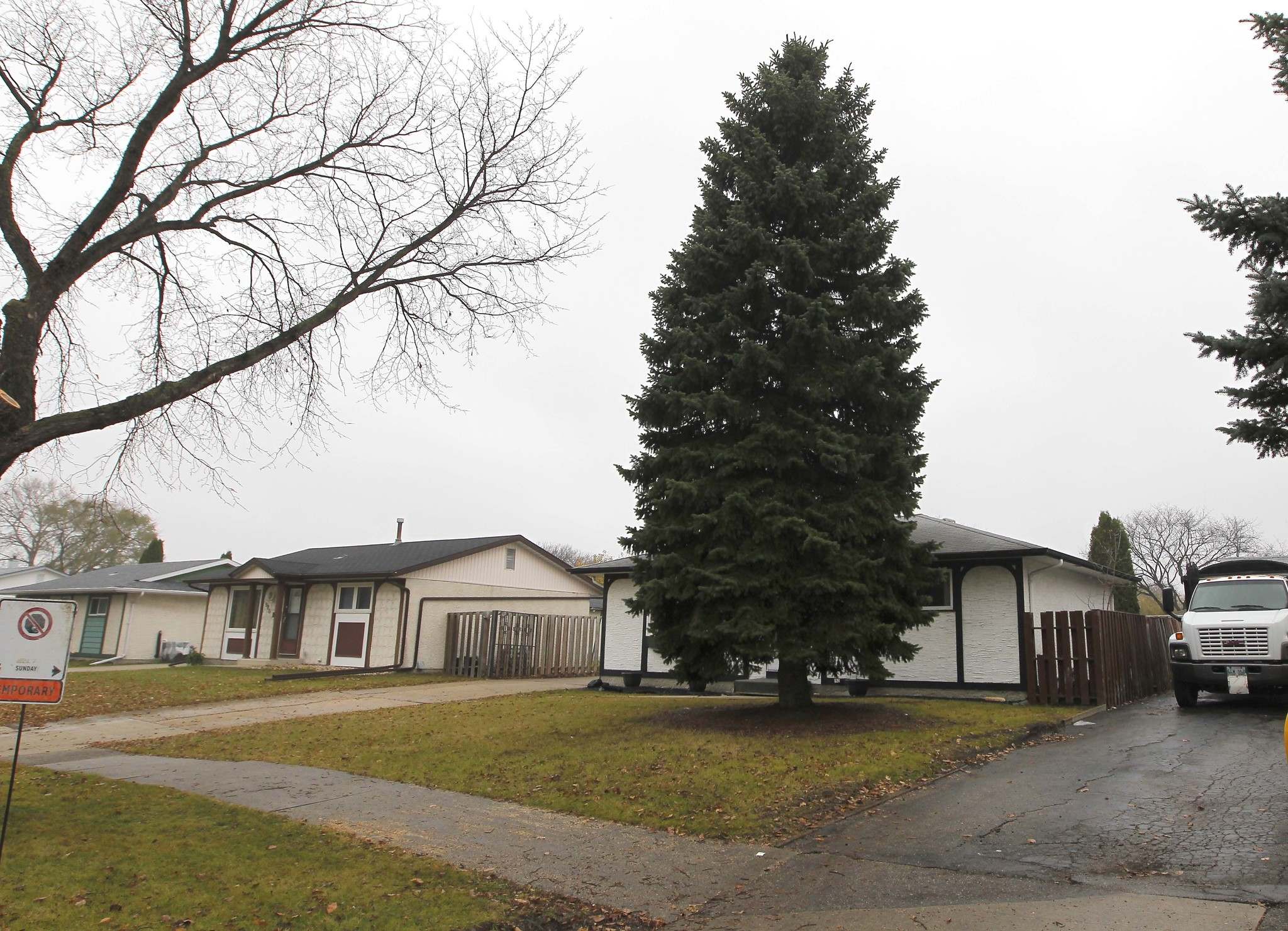 Christmas Trees Winnipeg 2021 at Brian Tong blog