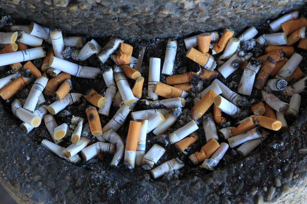 manitoba tobacco No ifs or ands from butts — study shows illegal tobacco use up in Manitoba  – Winnipeg Free Press