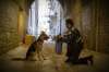 Joe Lederer / Universal Studios
John Ortiz (right) in a scene from A Dog's Purpose. The film has been mired in controversy since the release of a video apparently depicting the rough handling of one of its canine actors.