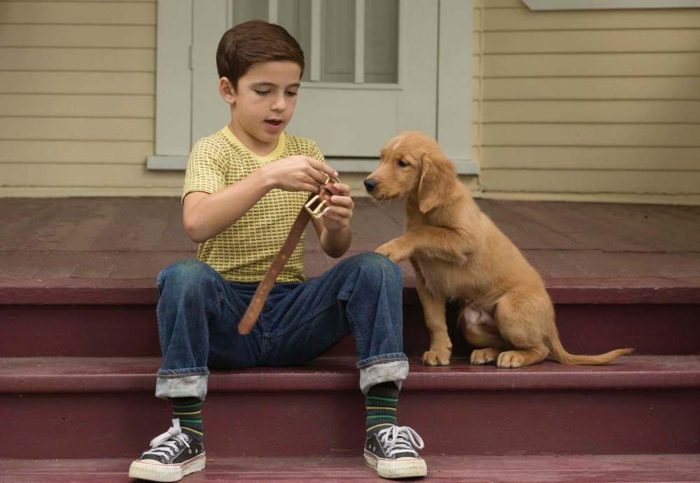 Bailey the dog is reincarnated into various pooches during A Dog’s Purpose. Bailey plays with young Ethan (Bryce Gheisar) during the 1950s.