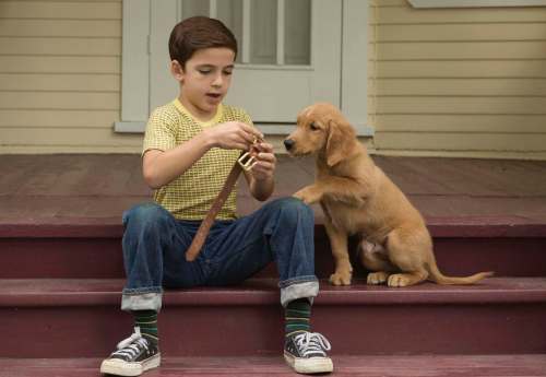 Bailey the dog is reincarnated into various pooches during A Dog&rsquo;s Purpose. Bailey plays with young Ethan (Bryce Gheisar) during the 1950s.