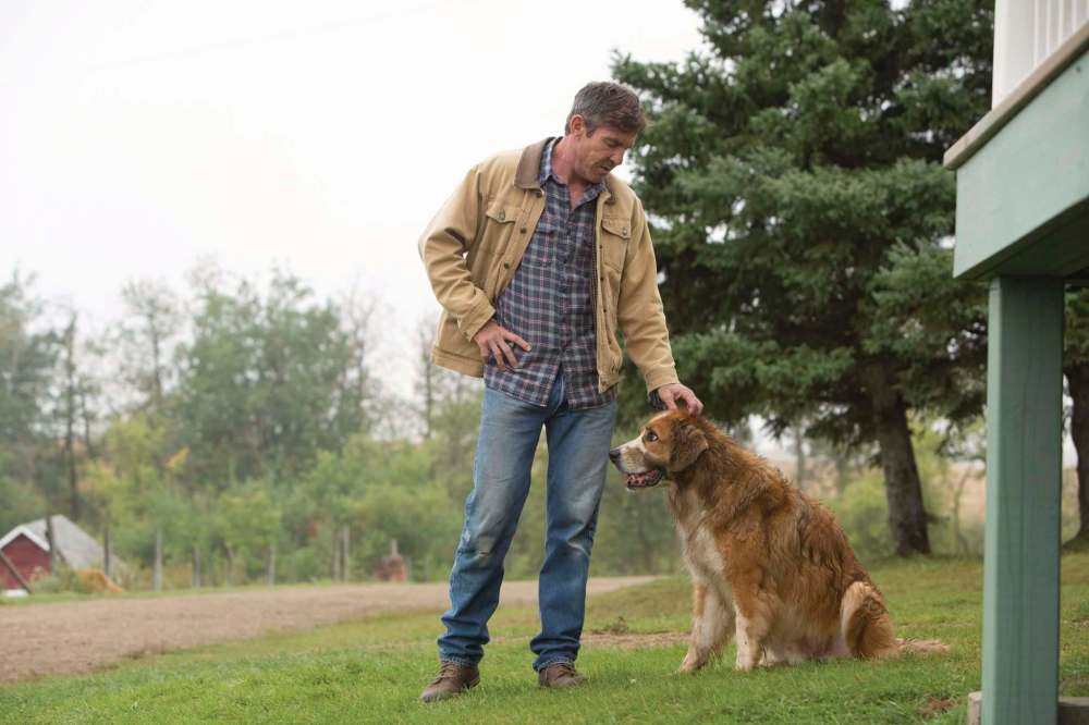 JOE LEDERER photo
Ethan, played as adult by Dennis Quaid, pets Buddy.