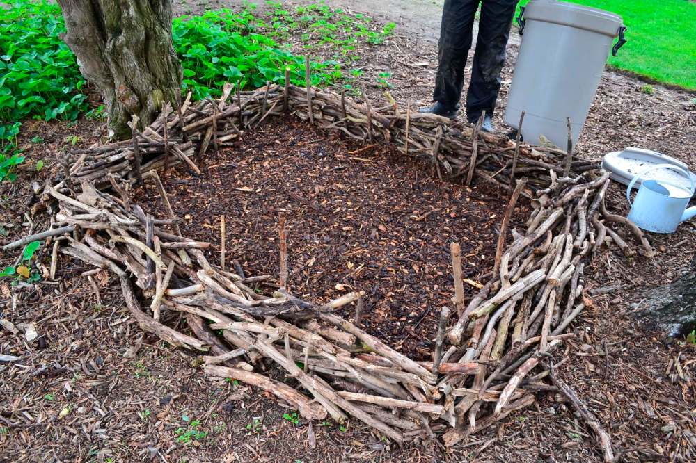 Tom Nagy
Only a small area is needed for growing fungi. Ensure that your mushroom patch is moist, not dry.