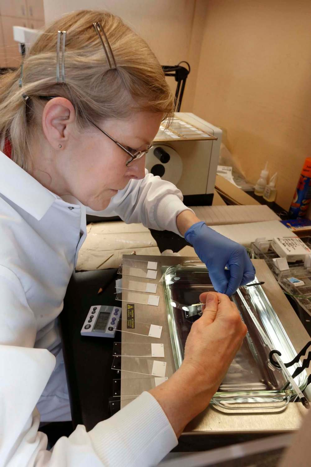WAYNE GLOWACKI / WINNIPEG FREE PRESS
Lab Technician Andrea Fristensky handles a slice of a mouse brain mixed with human cancer cells in the tumor bank at the Research Institute at CancerCare Manitoba.