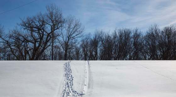 MIKE DEAL / WINNIPEG FREE PRESS FILESMost of the border-crossing activity takes place in Emerson because the U.S. I-29 highway ends close by.
