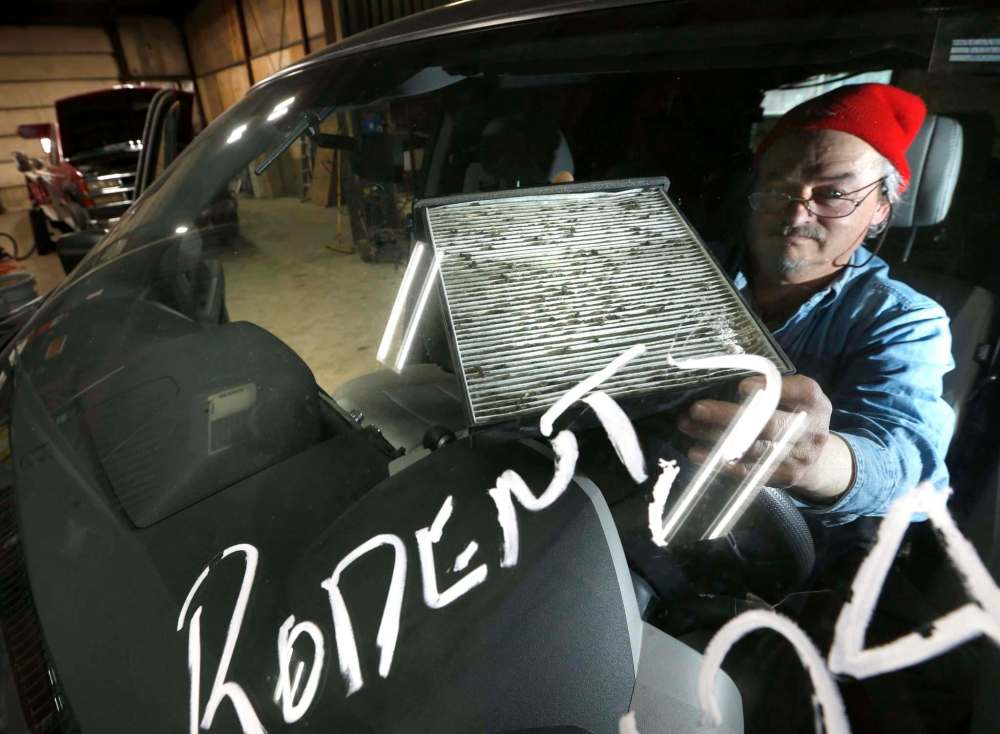 WAYNE GLOWACKI / WINNIPEG FREE PRESS
Randy Fincaryk, Manager at Winnipeg RV Service and Repair holds an SUV's cabin air filter that has been tainted by rodent droppings.