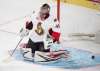 GRAHAM HUGHES / CANADIAN PRESS FILES
Ottawa Senators goalie Craig Anderson