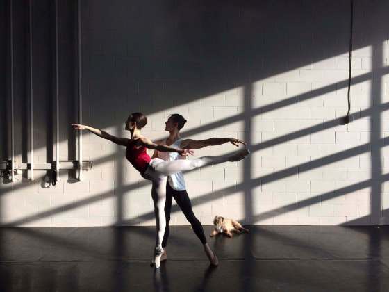 Simone Orlando photoGeordie finds warmth in a sunbeam while Ballet Kelowna dancers rehearse.