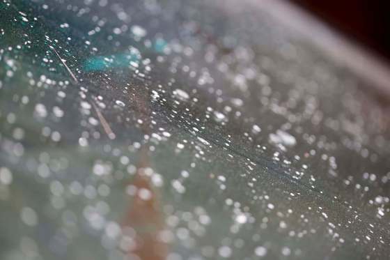 Sticky residue covering your car is a common sight when aphids are in your neighbourhood trees and plants. (Justin Samaski-Langille / Winnipeg Free Press)