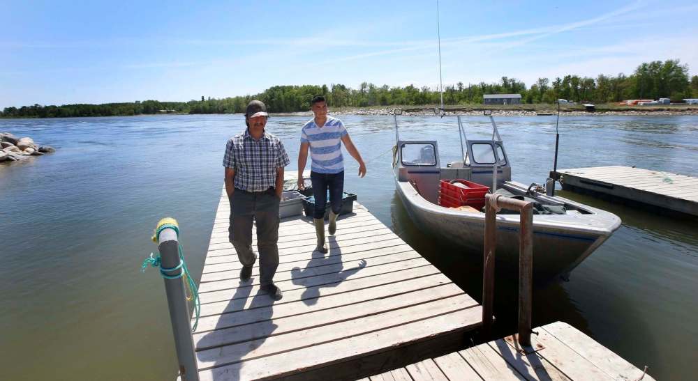 Dauphin River First Nation members and commercial fishermen Terry Stagg (left) and son Daniel dock their fishing boat along the Dauphin River. Elder Norman Stagg (right) says only about a dozen fishermen put their nets in this spring.