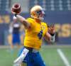 BORIS MINKEVICH / WINNIPEG FREE PRESS FILES
Quarterback Austin Apodaca was among the team's cuts Monday.