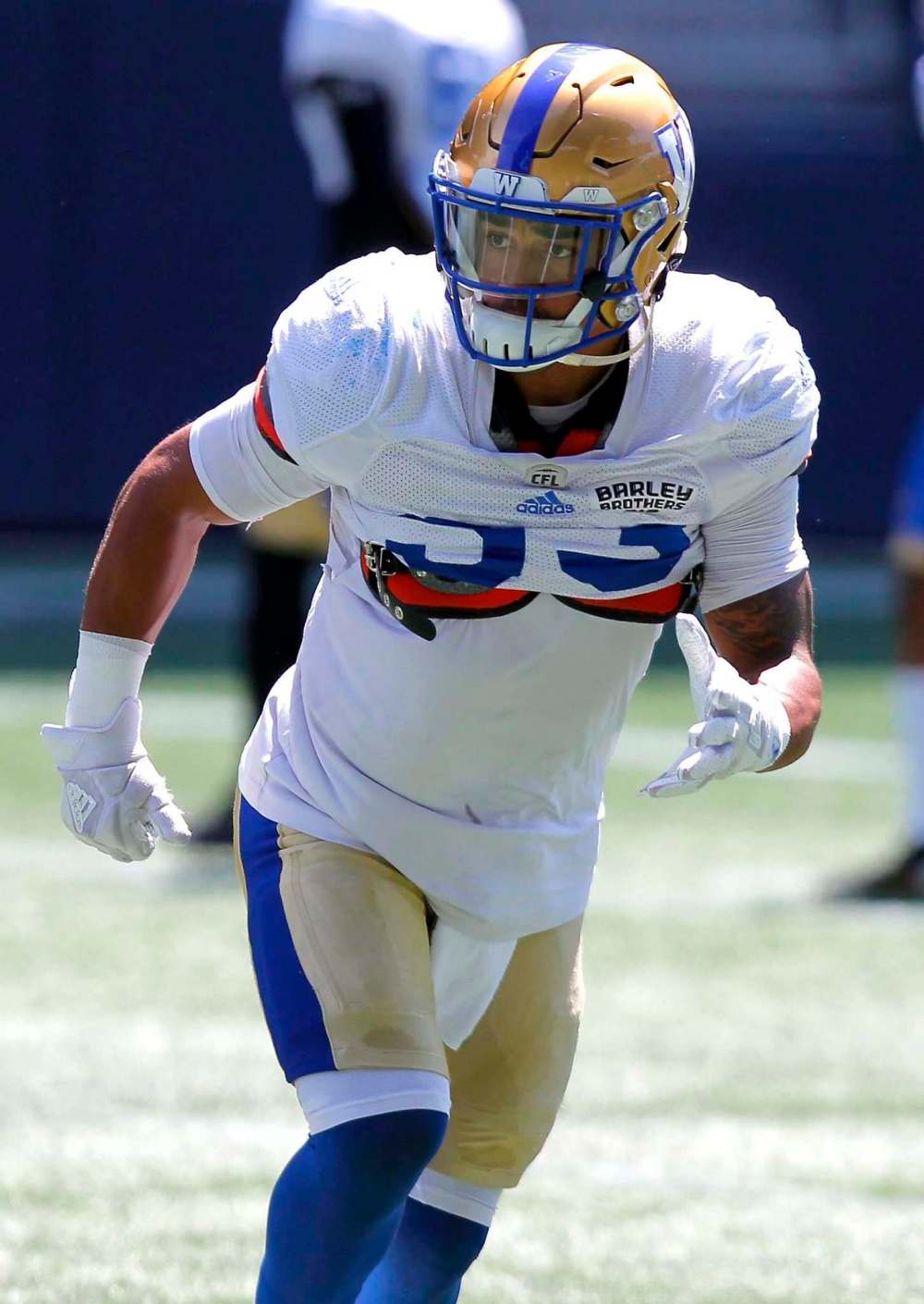 BORIS MINKEVICH / WINNIPEG FREE PRESS
Andrew Harris participates in practice Tuesday and should see game action Saturday against the Roughriders.