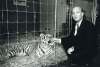 KEN GIGLIOTTI / WINNIPEG FREE PRESS FILES
Promoter Bruce Rathbone brought in live tigers to promote the musical Cats in 1989.