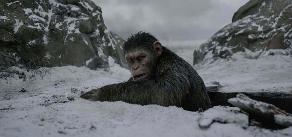 Twentieth Century Fox’s “War for the Planet of the Apes.”