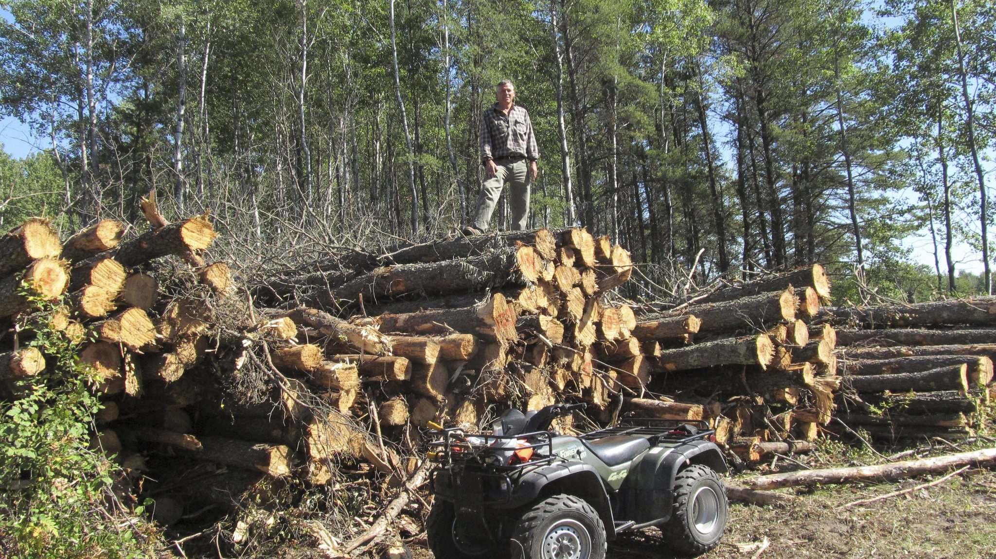 Woodlot owners want freedom from tariff Winnipeg Free Press