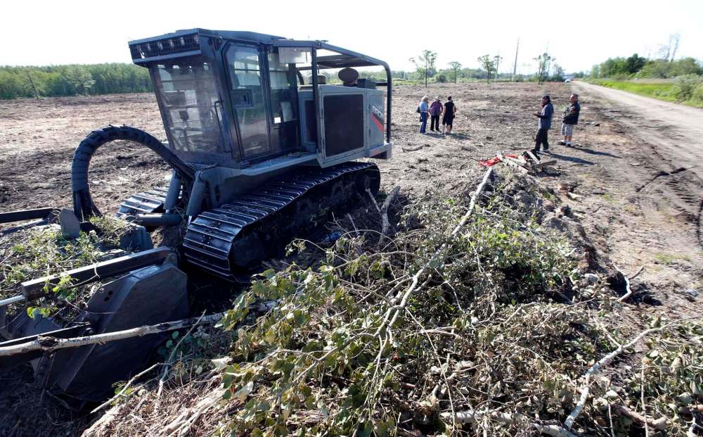 WAYNE GLOWACKI / WINNIPEG FREE PRESS files
Protesters in the Parker Lands want tree-clearing halted until the fall, when nesting birds will have had a chance to migrate.