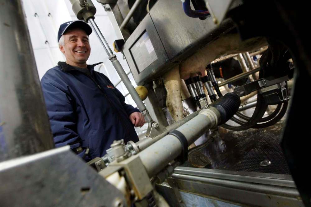 MIKE APORIUS/WINNIPEG FREE PRESS
David Wiens, chairman of Dairy Farmers of Manitoba, said problems in the American dairy industry are because of overproduction, not lack of access.
“So if the U.S. has overproduced, looking to Canada to solve their overproduction problem isn’t really the answer. Our market is about one-tenth of the U.S. market,” he said.