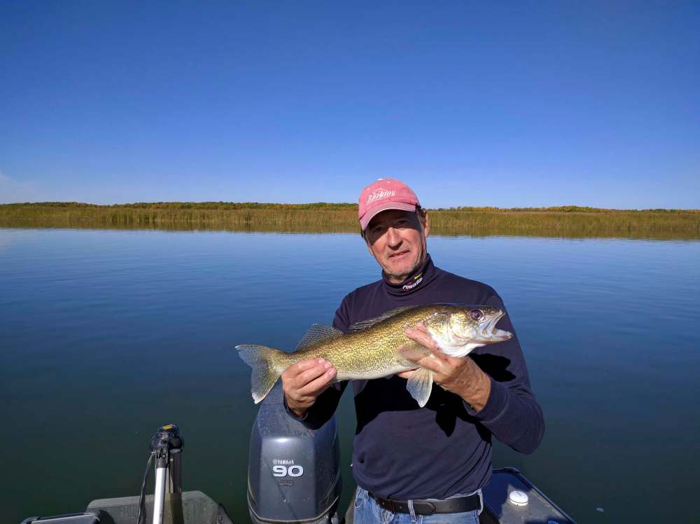 SUPPLIED
Don Lamont with a nice Manitoba walleye. Lamont says this is the time of year that a drop shot rig excels for deeper fish, in particular walleye and bass.