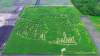 SUPPLIED PHOTOS
Vince Rattai created a corn maze in the shape of Canada to mark the country&rsquo;s 150th anniversary.