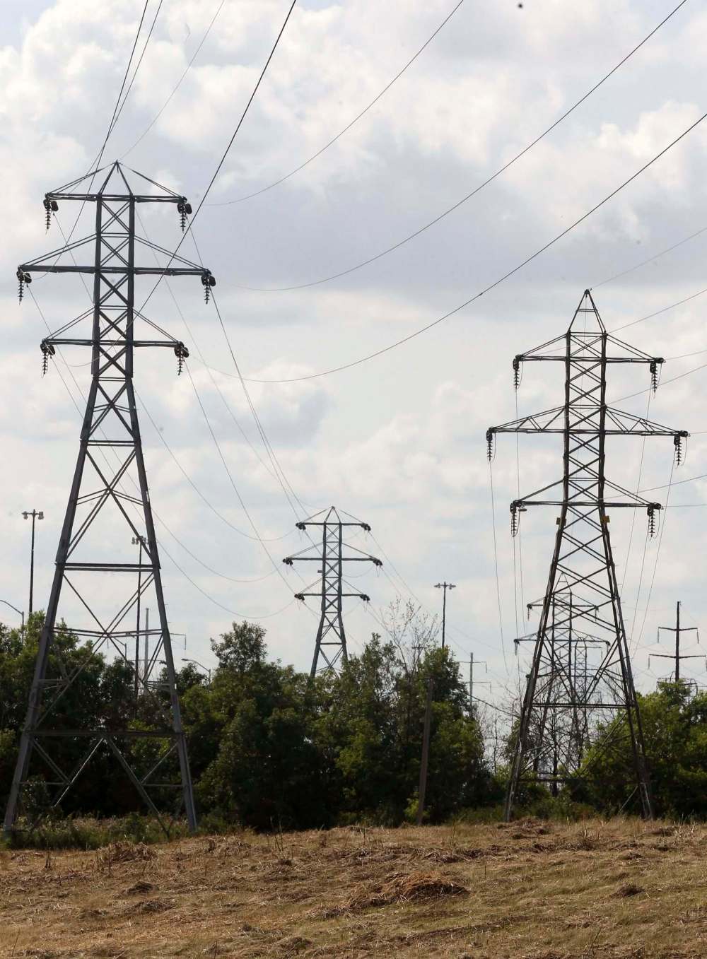 JOE BRYKSA / WINNIPEG FREE PRESS
University of Manitoba researchers say Hydro grasslands can be managed to attract small mammals, insects, birds and butterflies.
