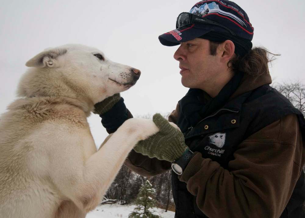 DAVID LIPNOWSKI / WINNIPEG FREE PRESS FILES
Dave Daley, shown in 2010, with one of his sled dogs. The president of the Churchill Chamber of Commerce says town residents will blockade any attempt by Via Rail to get its stranded rail cars out of the town unless its by rail.