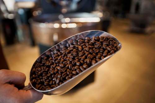 David Ryder / Bloomberg
A new study on coffee has found caffeine may make us crave sweets more strongly.