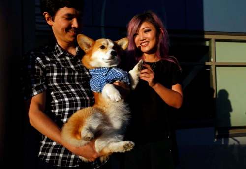 Genaro Molina / Los Angeles Times
Aiden Lee (right) and Onesimus Nuernberger hug their dog, Geordi La Corgi, who is an Instagram star (below).