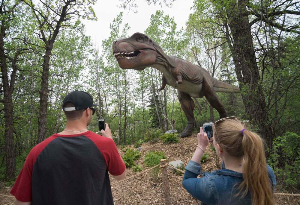 DAVID LIPNOWSKI / FREE PRESS FILES
Visitors check out the Tyrannosaurus Rex at the Dinosaurs Alive! exhibit at the Assiniboine Park Zoo.