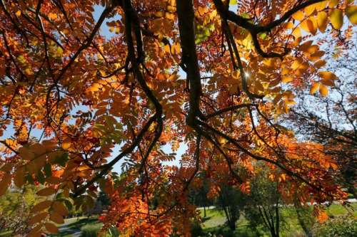 KEN GIGLIOTTI / FREE PRESS FILE
Summer's had its swan song - the leaves are changing colours and there's a chill in the air. We're now into the fall and the days of wool sweaters, pumpkin-spice everything and heightened libidos.